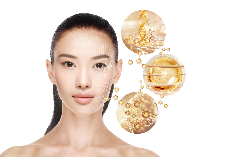 Skin Barrier