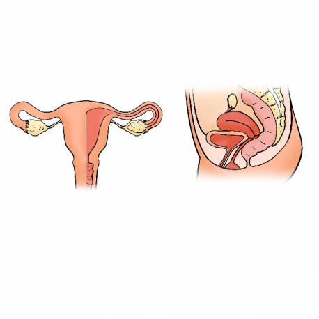 /storage/images/news/segala-hal-yang-perlu-anda-ketahui-seputar-pap-smear-191bb92.jpg